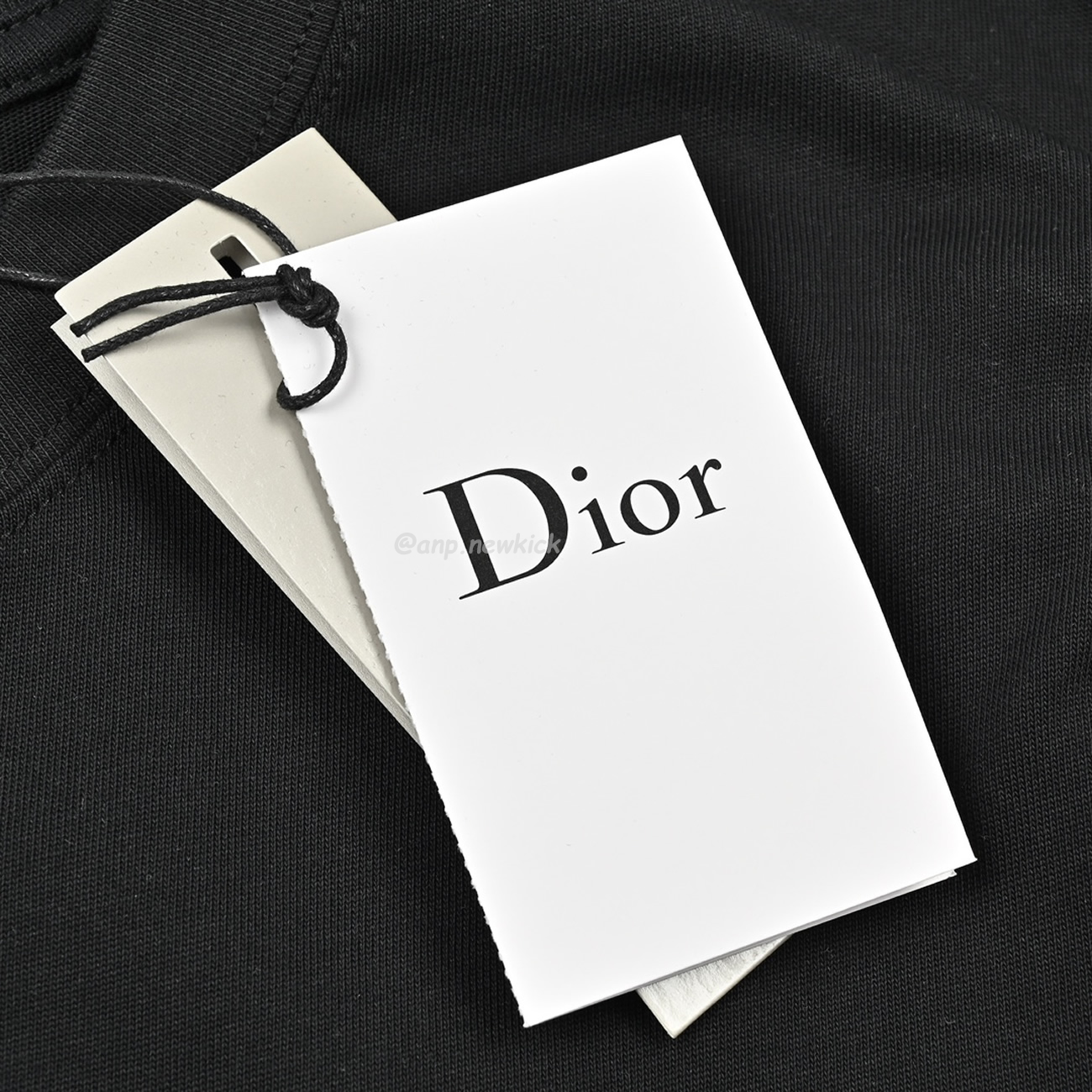 Dior 24ss Pin Logo Contrasting Embroidered Short Sleeved T Shirt (7) - www.newkick.org